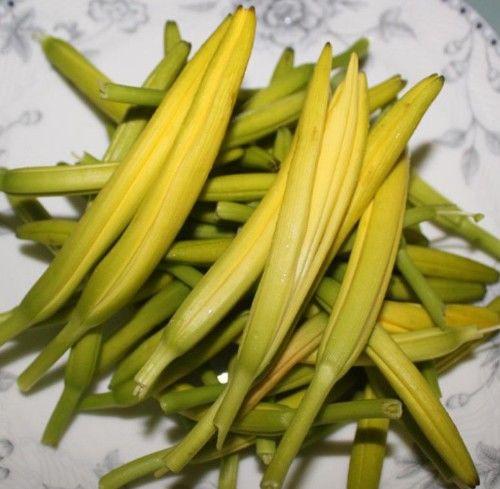 忘忧草在线播放WWW芒果忘忧草在线播放，芒果之下的心灵慰藉-第1张图片