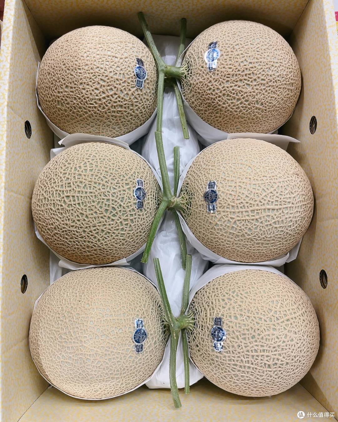 草莓、香蕉、哈密瓜、向日葵与榴莲-第2张图片