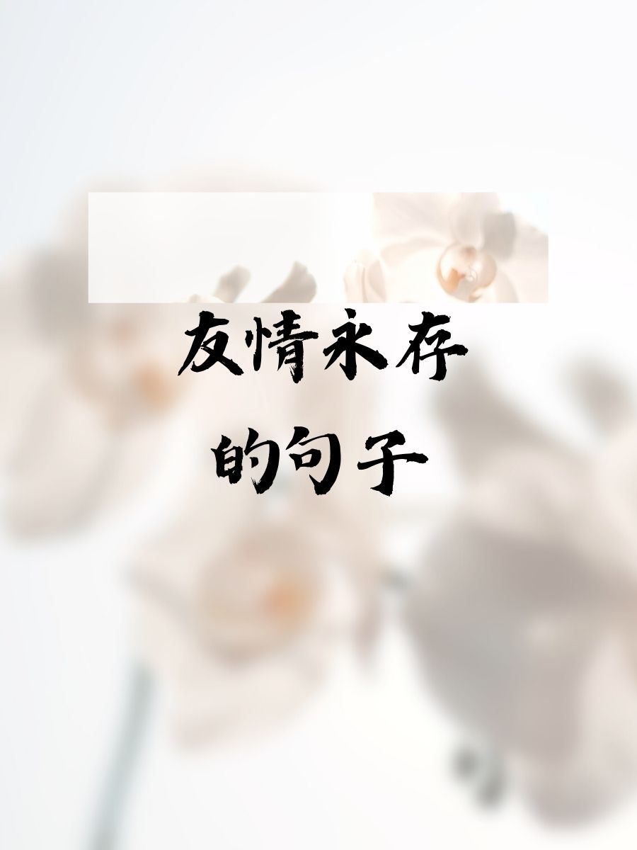婷婷久月导航婷婷久月，时光的诗篇