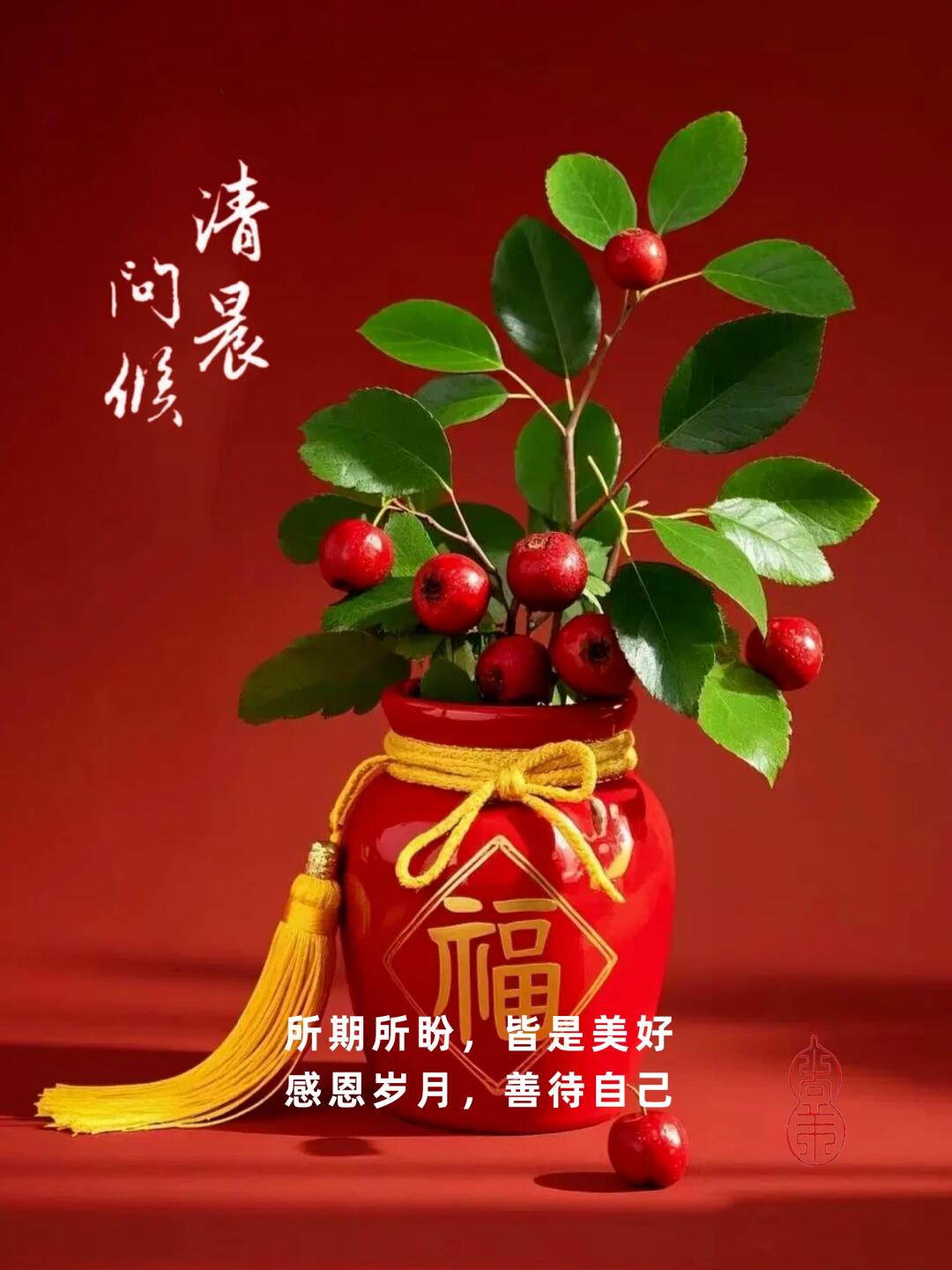 时时乐时时乐，生活中的快乐时刻-第2张图片