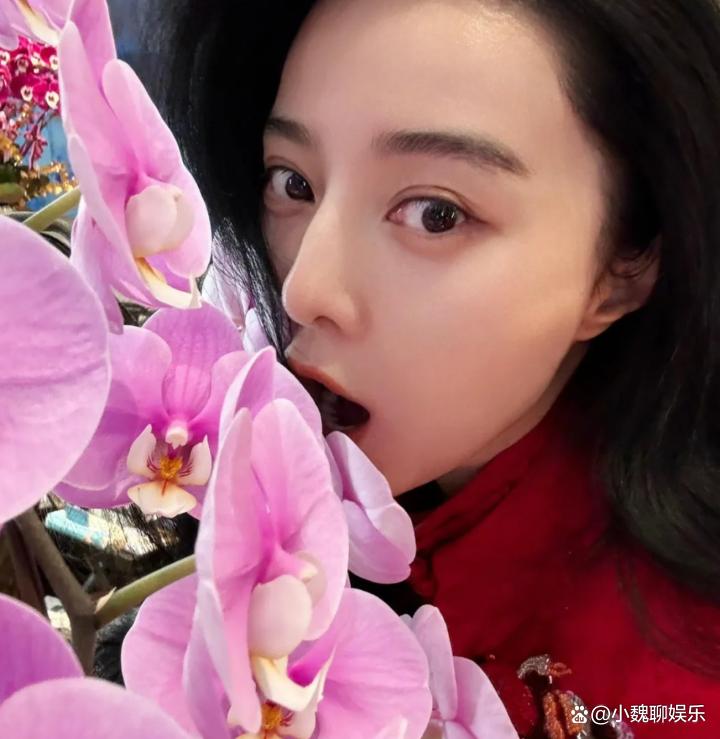 范冰冰证件照曝光引热议-第2张图片