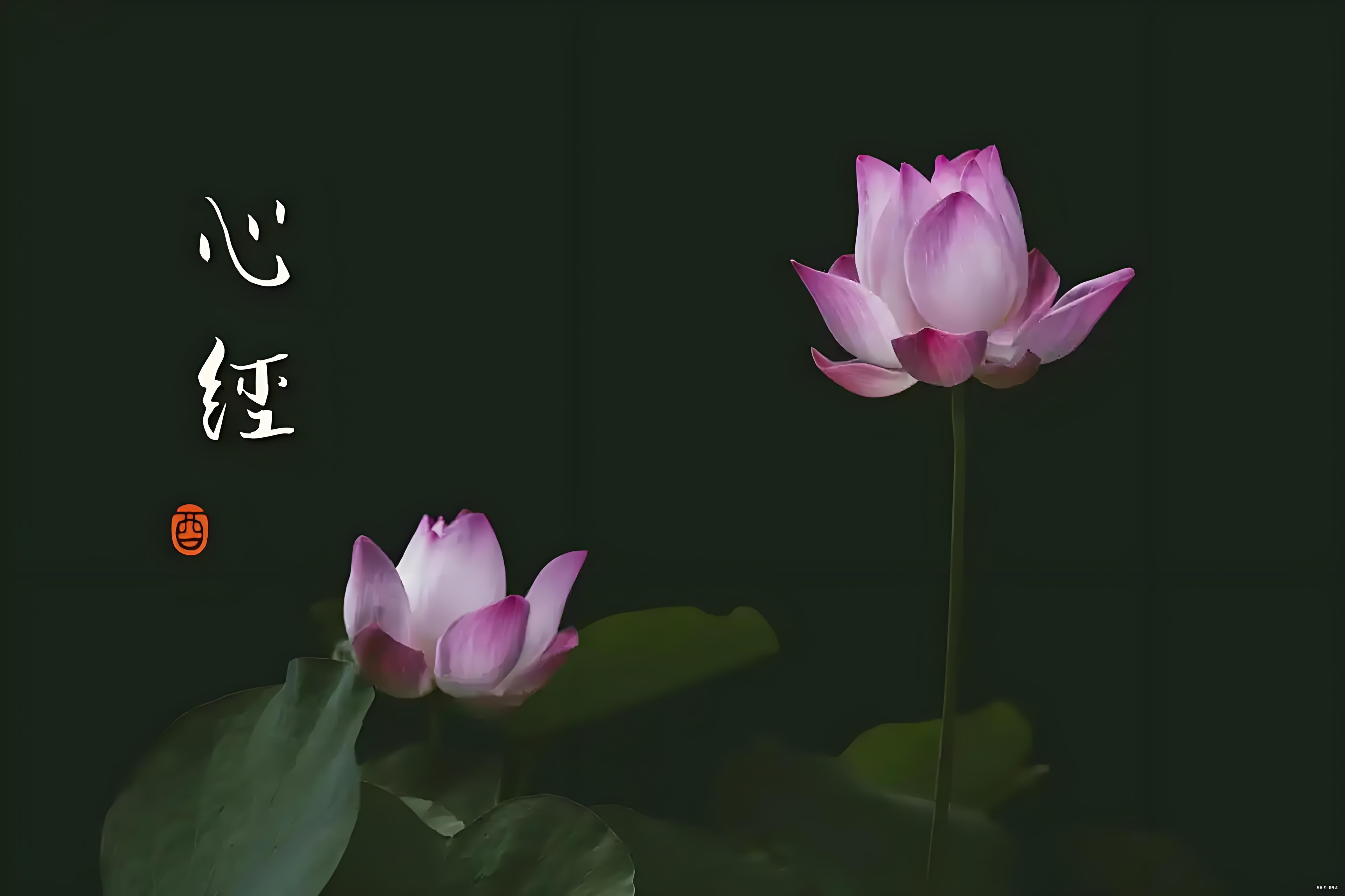 东方心经a东方心经b东方心经A，探寻内心的智慧与力量-第2张图片