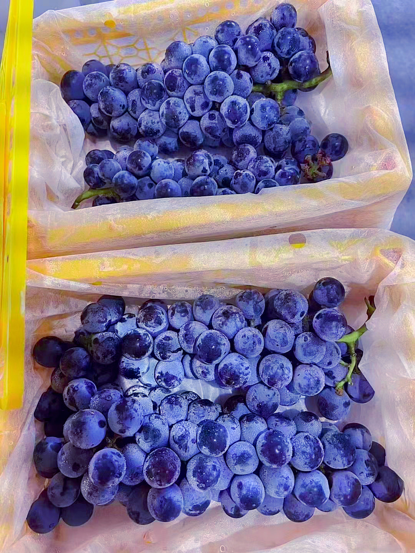 樱桃s下载app安卓樱桃S下载APP免费版下载指南-第2张图片