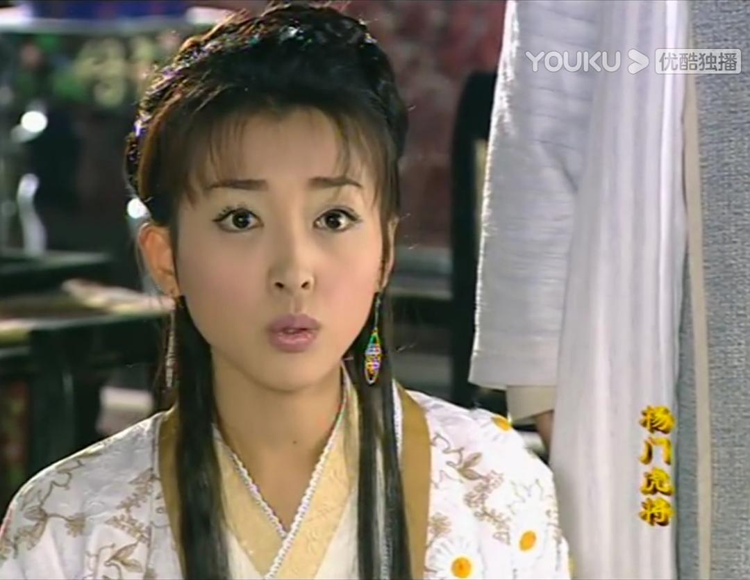 杨门女将外传-第3张图片