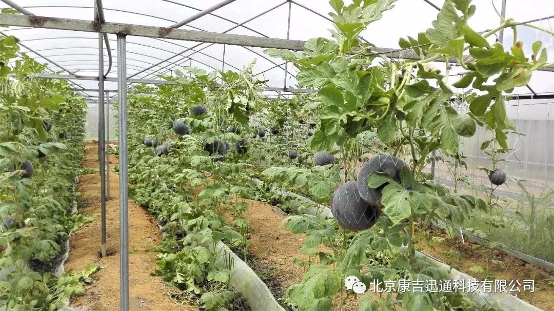 JY灌溉系统游戏JY灌溉系统游戏，探索灌溉科技的新世界