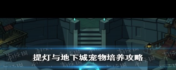 地下城宠物获取攻略-第2张图片