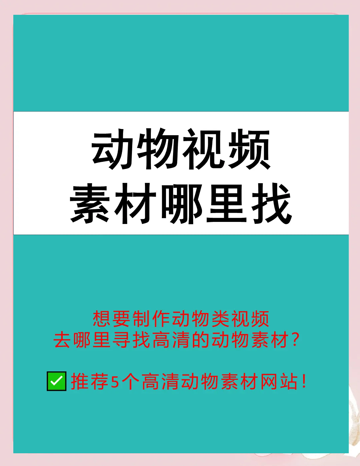 人物动物互动高清视频素材下载人物动物互动高清视频素材下载-第2张图片