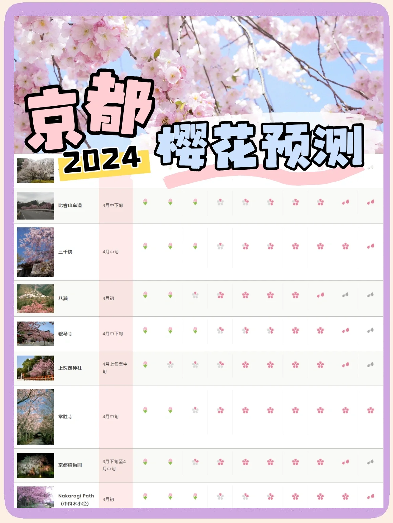樱花官网官方进入版网址2023樱花官网官方进入版网址2023