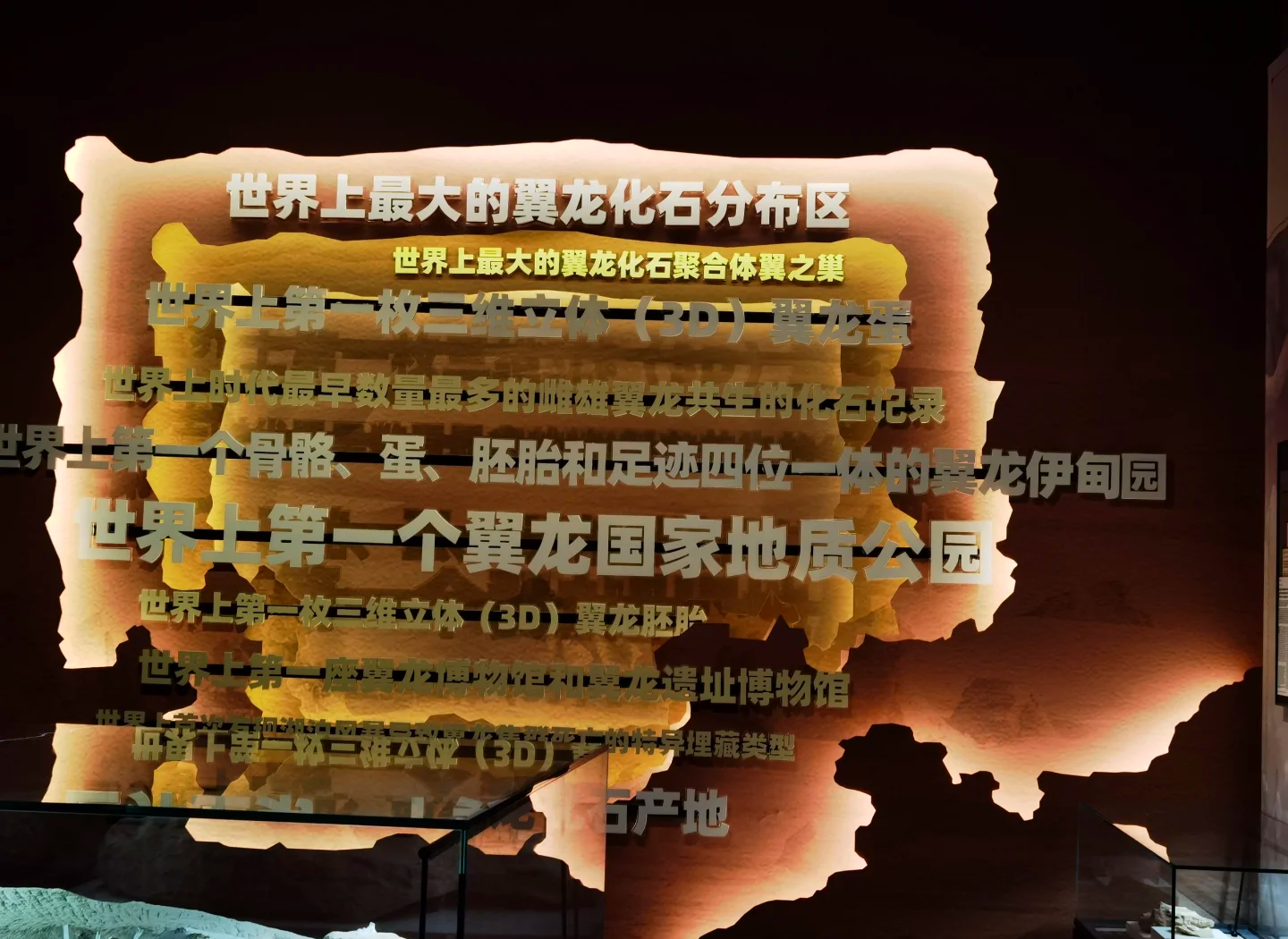 灵翼龙，神秘的翼龙世界-第1张图片