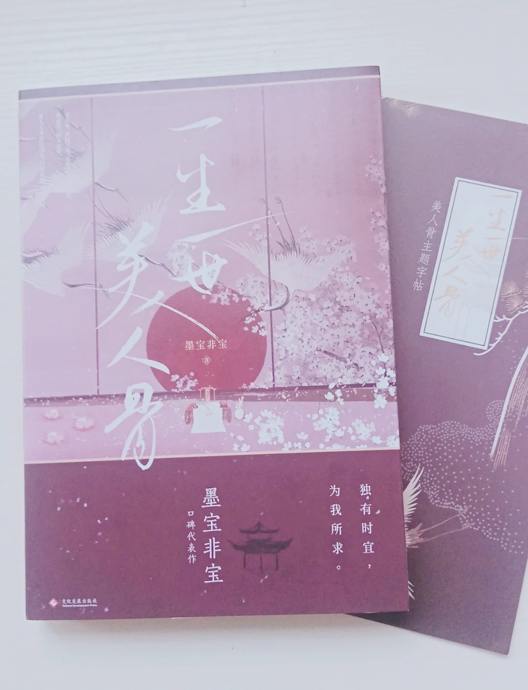 一生一世美人骨男女主第一次一生一世美人骨，男女主首次相遇-第2张图片