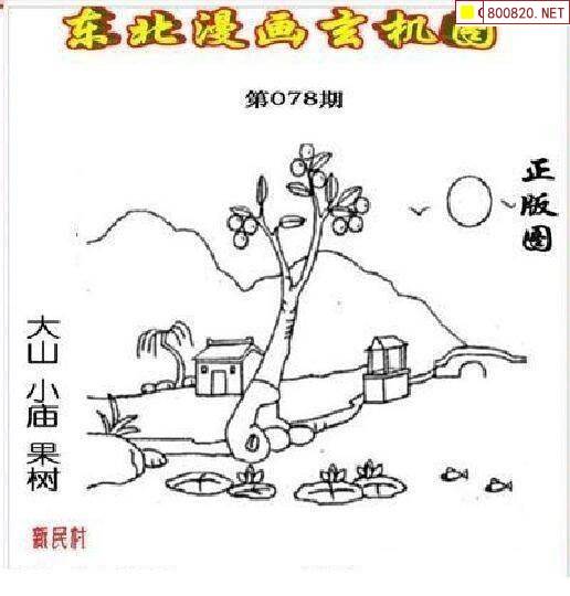 天齐网3D图谜，探索神秘世界的一把钥匙