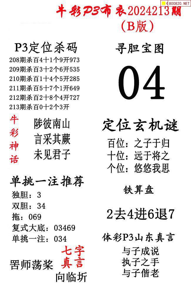 2024精华版布衣图全图解析