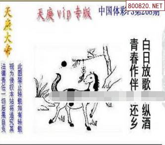 黄大仙论坛精选，六肖揭秘与黄大仙的神秘魅力