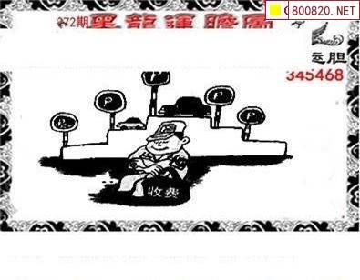 王中王493333中特一网.说王中王493333中特1肖的故事-第3张图片
