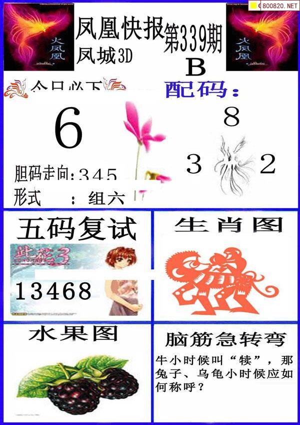 福彩3地谜语合集大全福彩3地谜语合集
