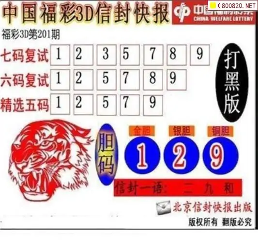 3D字谜图谜论坛，探索神秘世界-第2张图片