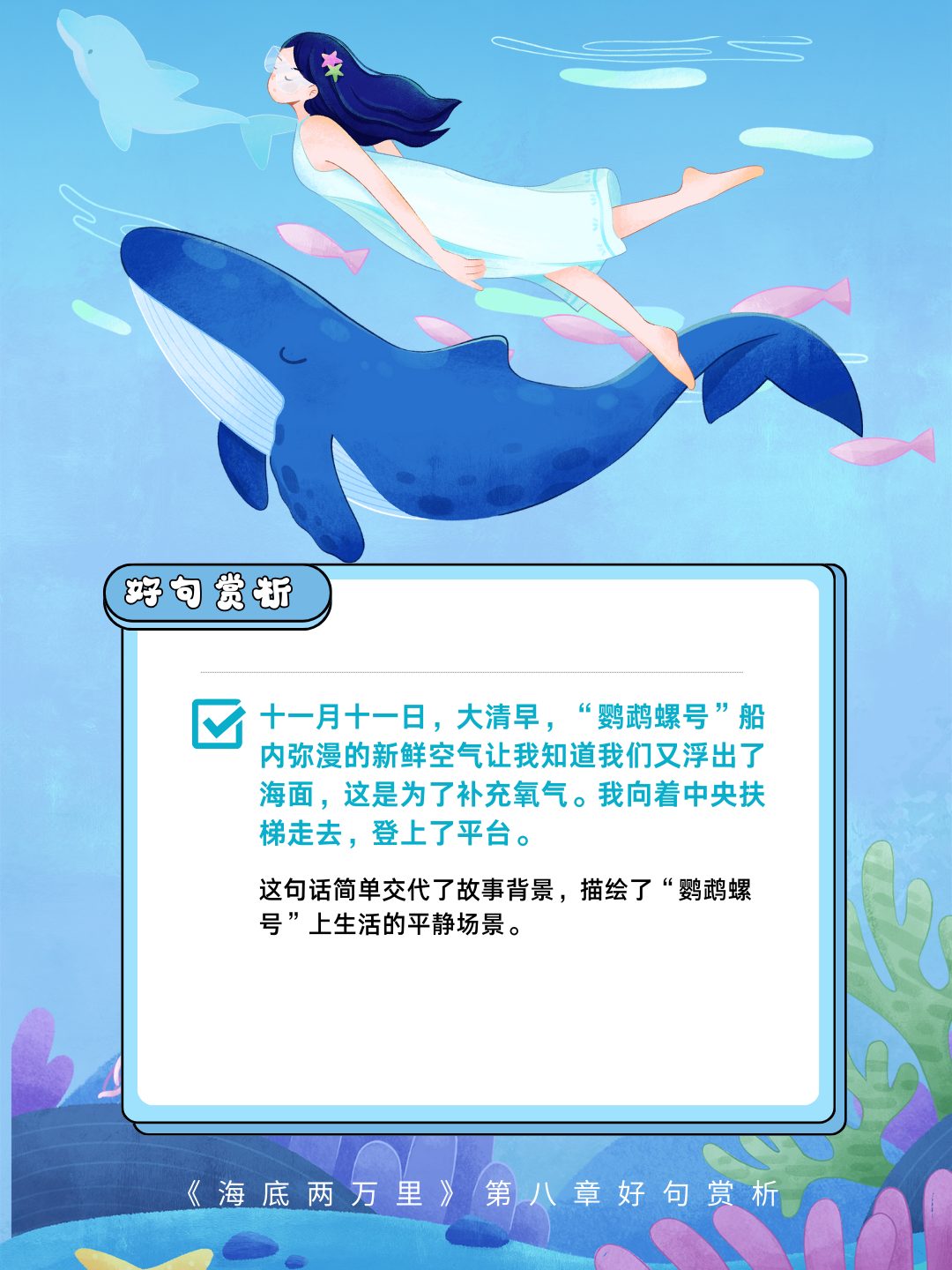 大彩鲸大彩鲸，神秘的海洋生物-第2张图片