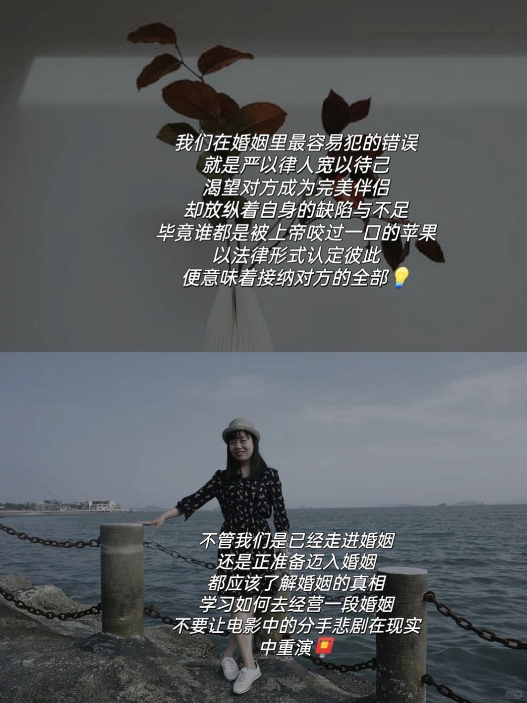 清风电影，电影的诗意与现实交织