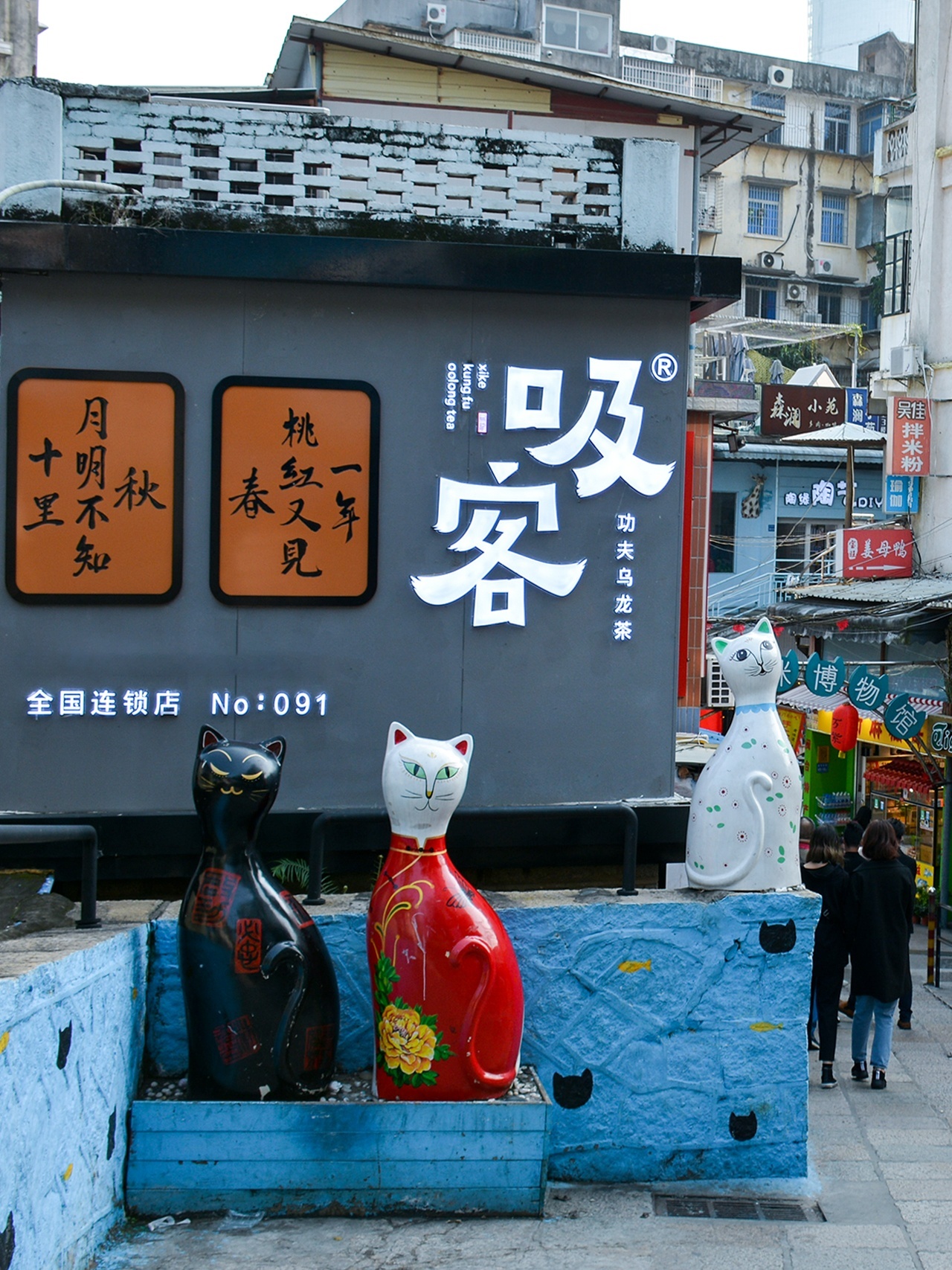 街猫的生活与魅力-第2张图片