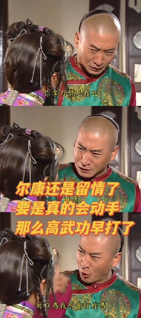 永琪与尔康携手共破小燕子的阴谋