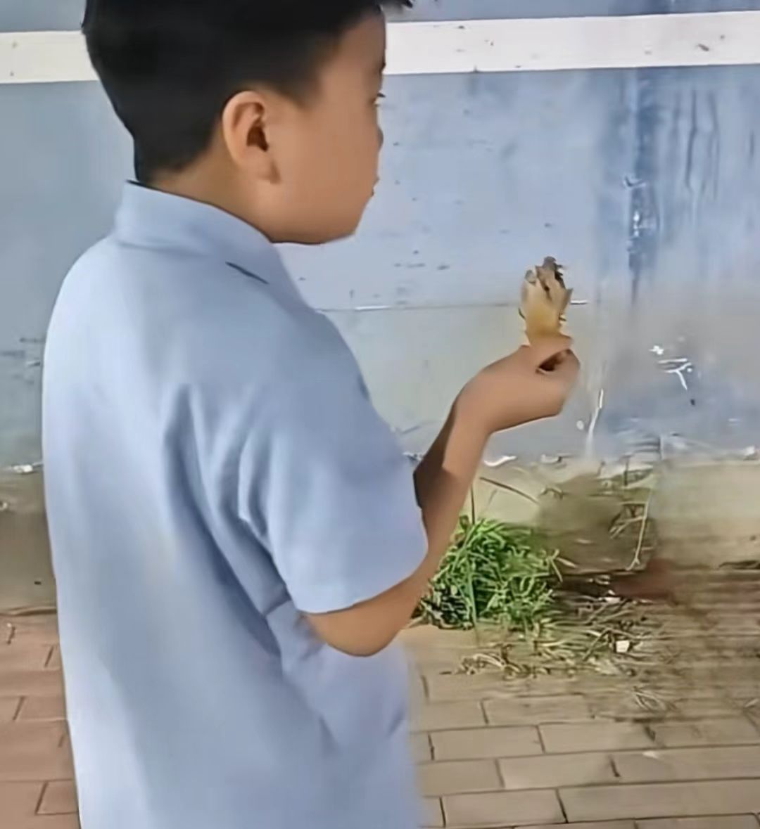 儿子一晚上要了我五回怎么办呢儿子一晚上要了你五回，如何应对？-第3张图片