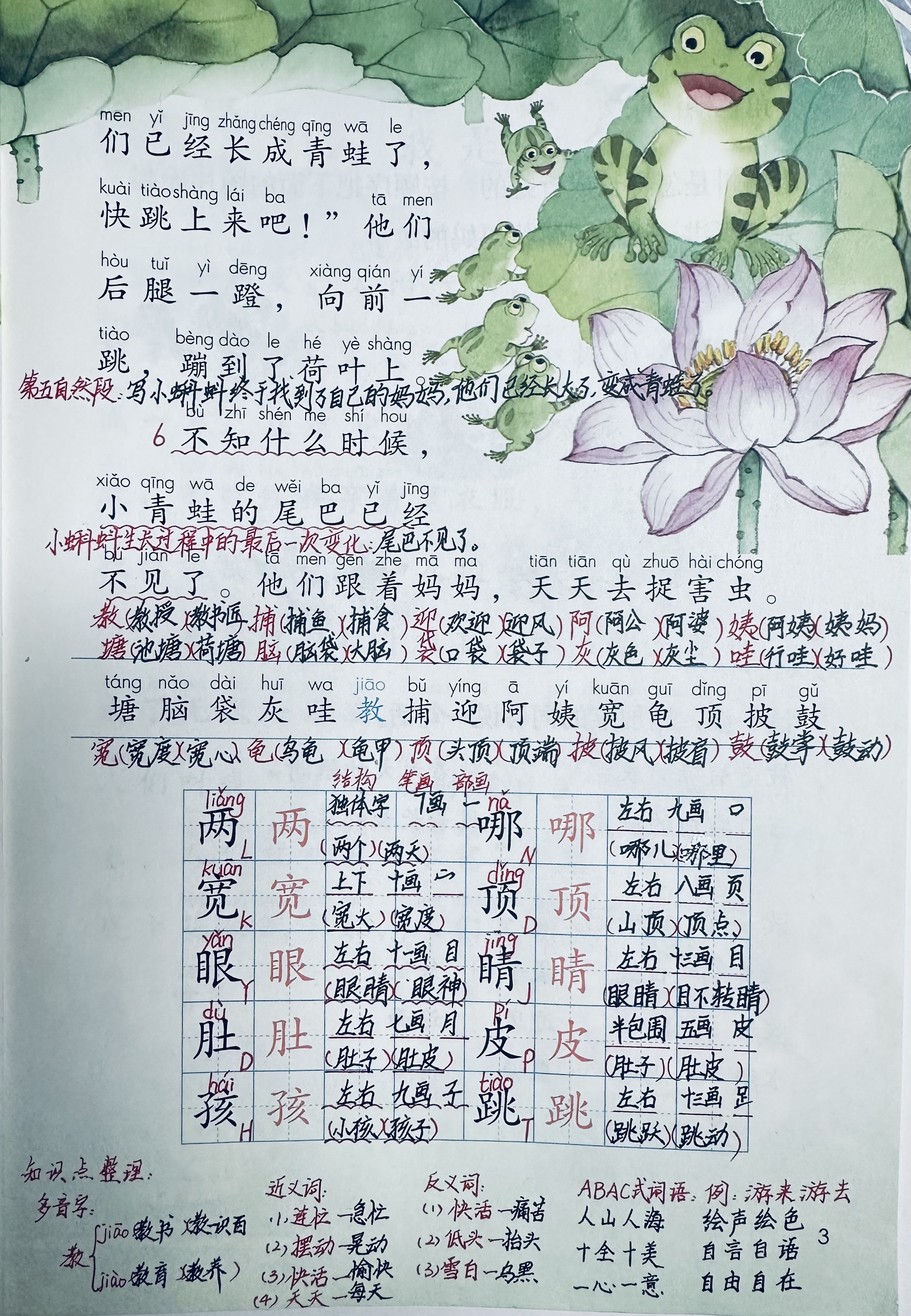 小蝌蚪视频在线观看免费观看WWW小蝌蚪视频在线观看免费观看-第1张图片