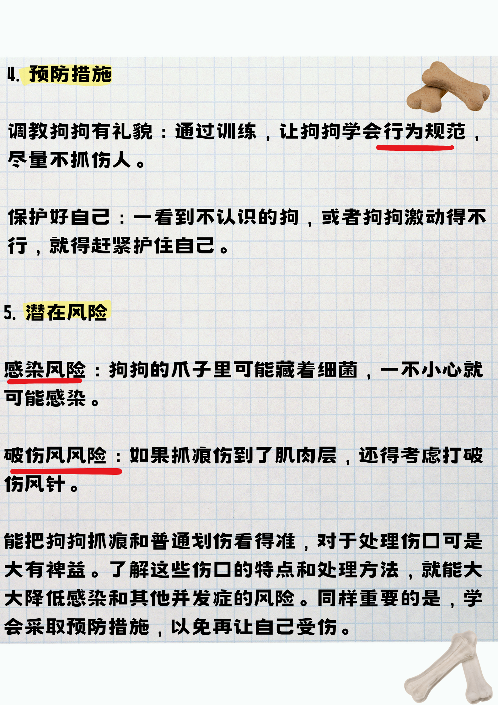 狗的速度很快又大又烫狗的速度与力量-第2张图片