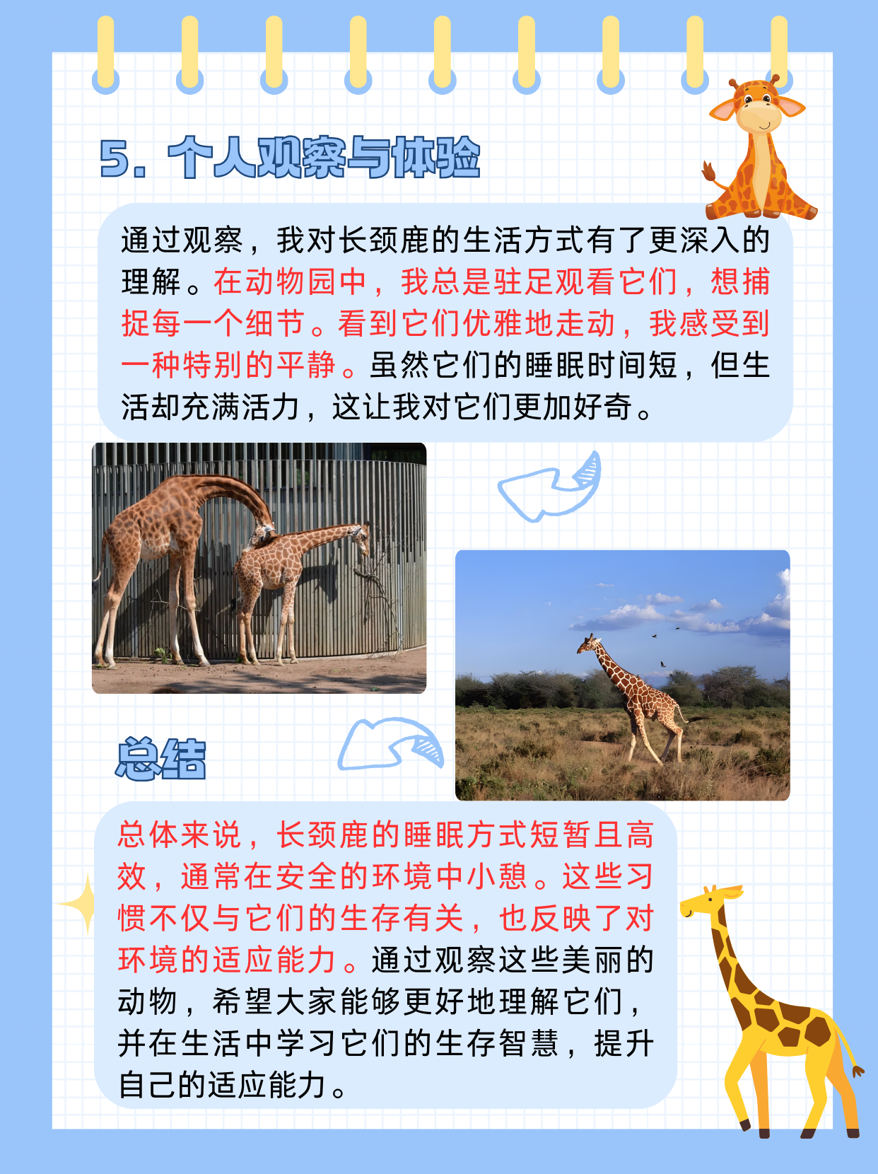 放在里面睡觉是一种什么样的感受放在里面睡觉是一种独特的体验-第3张图片