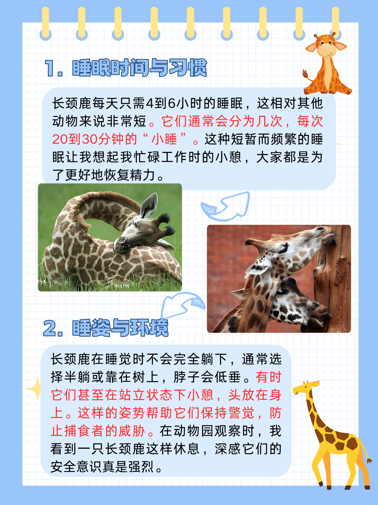 放在里面睡觉是一种什么样的感受放在里面睡觉是一种独特的体验
