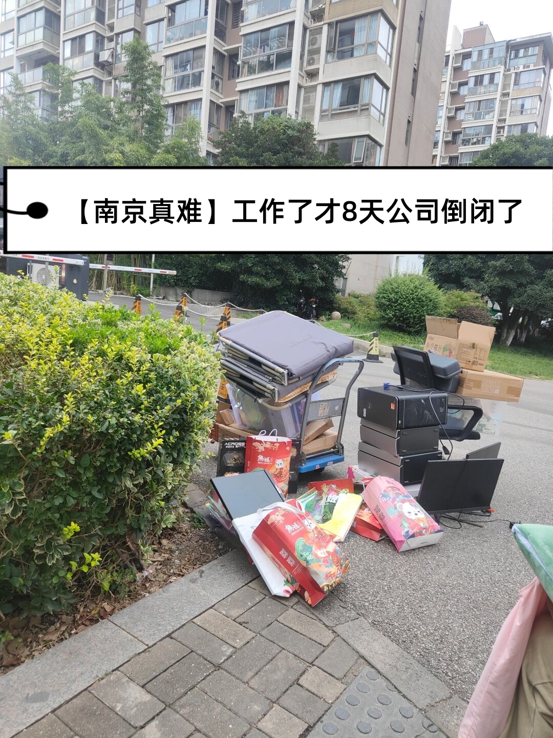 小东西好久没弄小东西几天没做，家中四处弥漫异味-第2张图片
