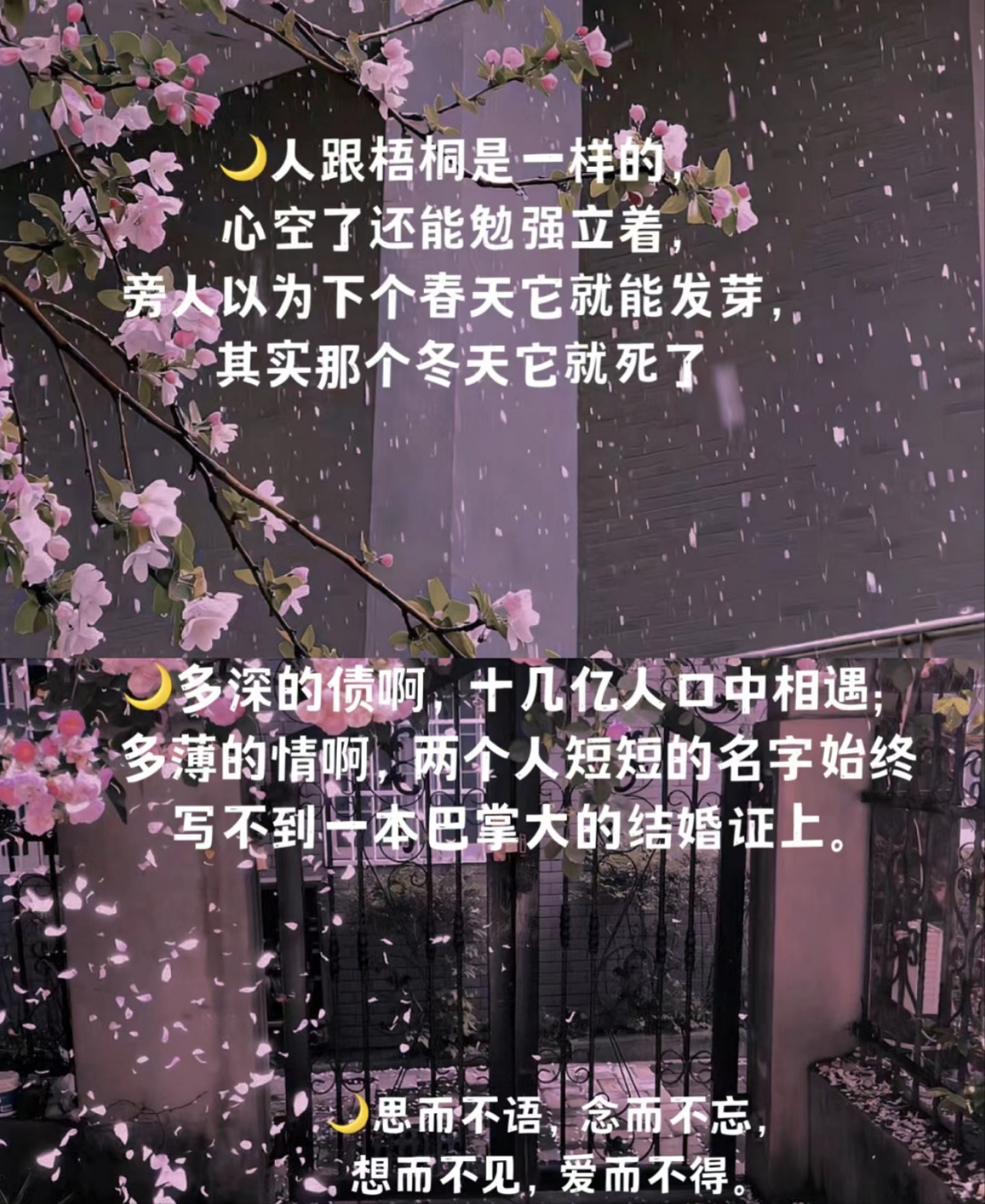 我们不合适1v1江瑾州钱朵朵我们不合适，1V1江瑾州