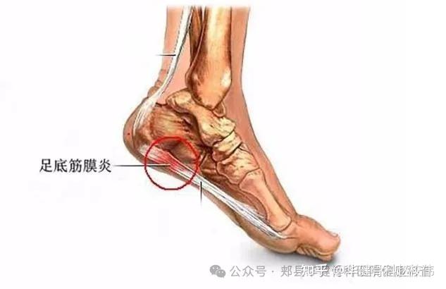 宝宝腿张大一点儿就不疼了吗宝宝腿张大一点儿是否会缓解疼痛-第1张图片