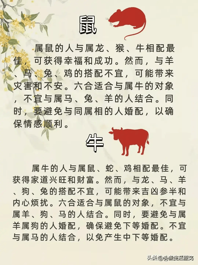 2020生肖号码表图十二生肖2020生肖号码波色表图揭秘