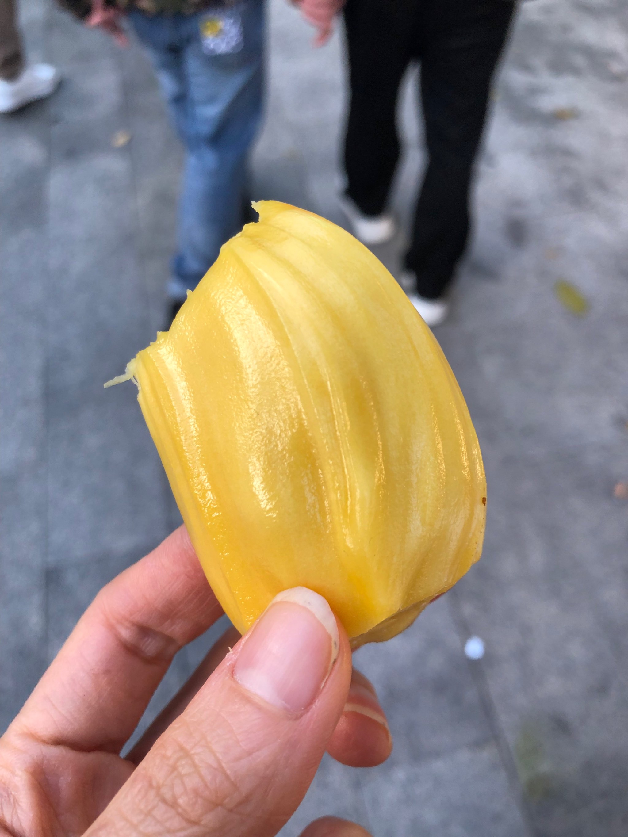 菠萝菠萝蜜免费观看
