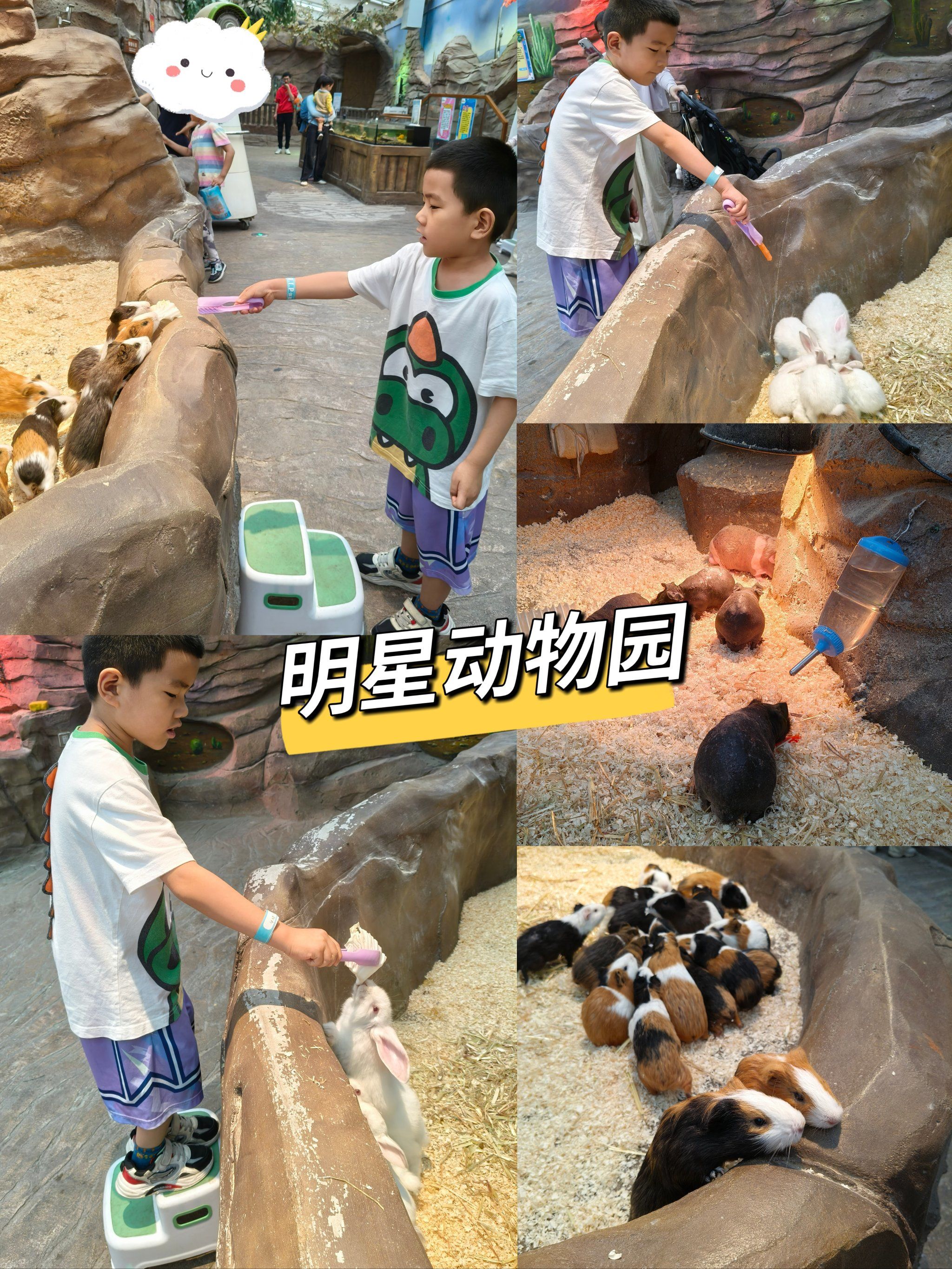 新宝宝乐园，开启快乐成长之旅