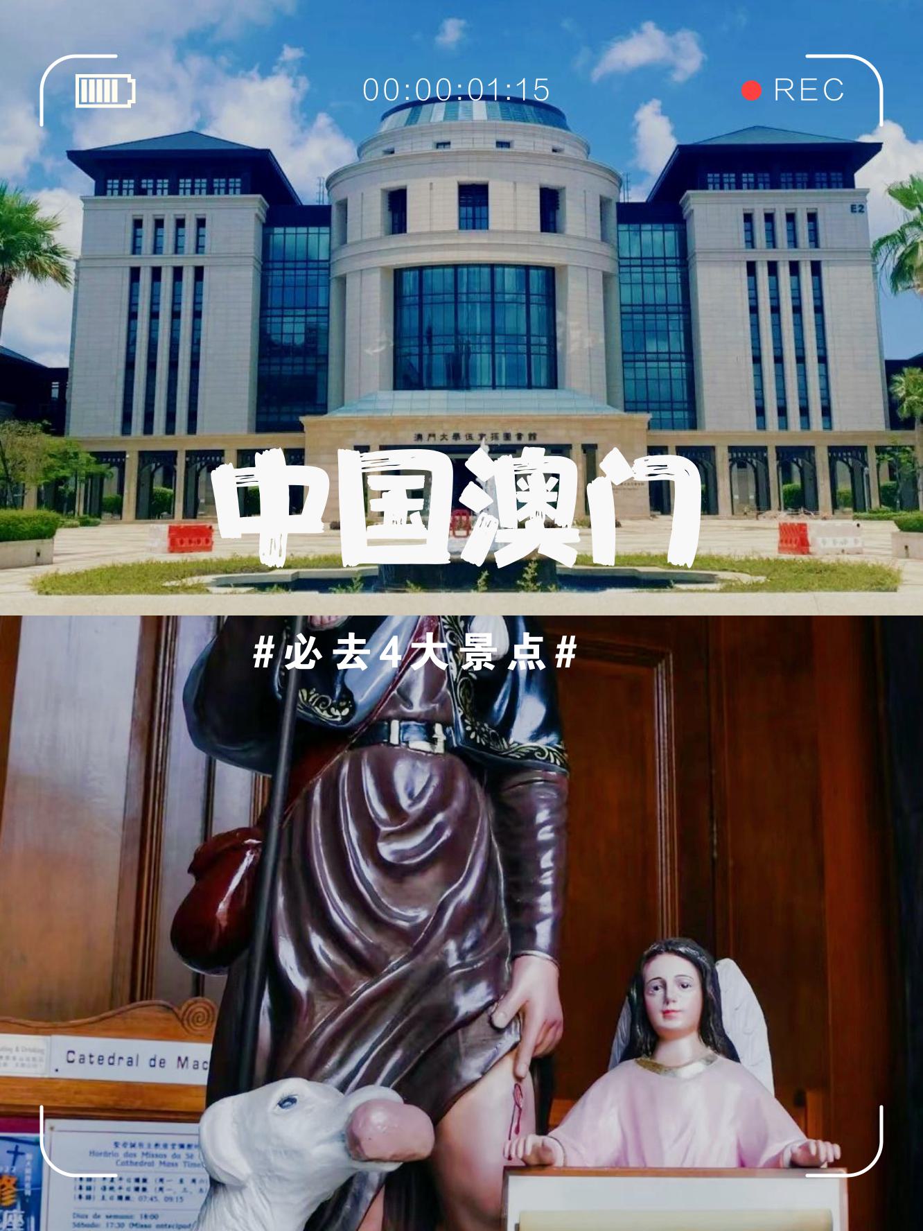 澳门好博VIP体验，探索无限可能