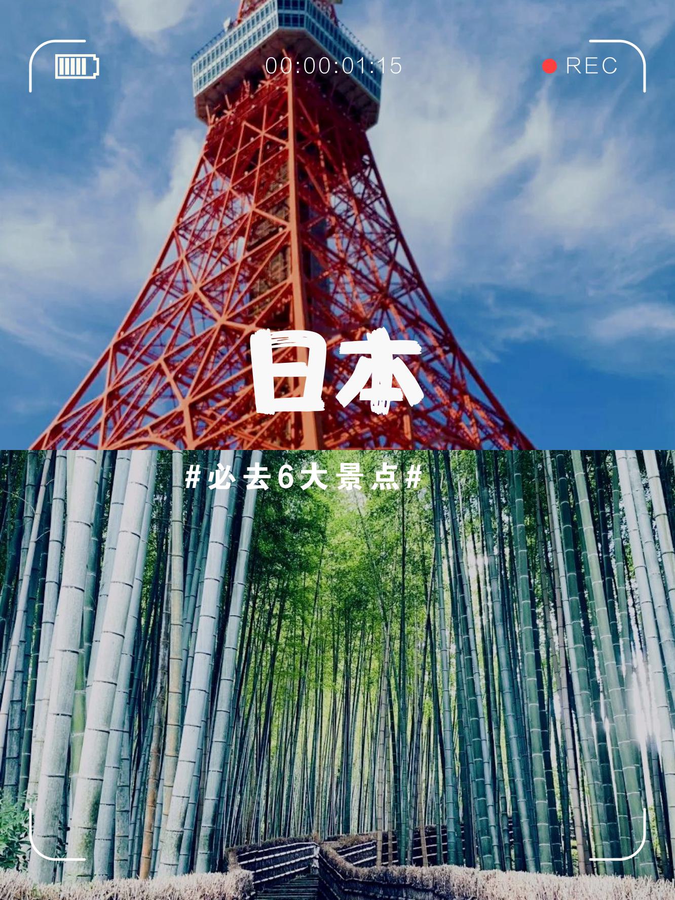 探索2y3y.com，数字时代的探索之旅