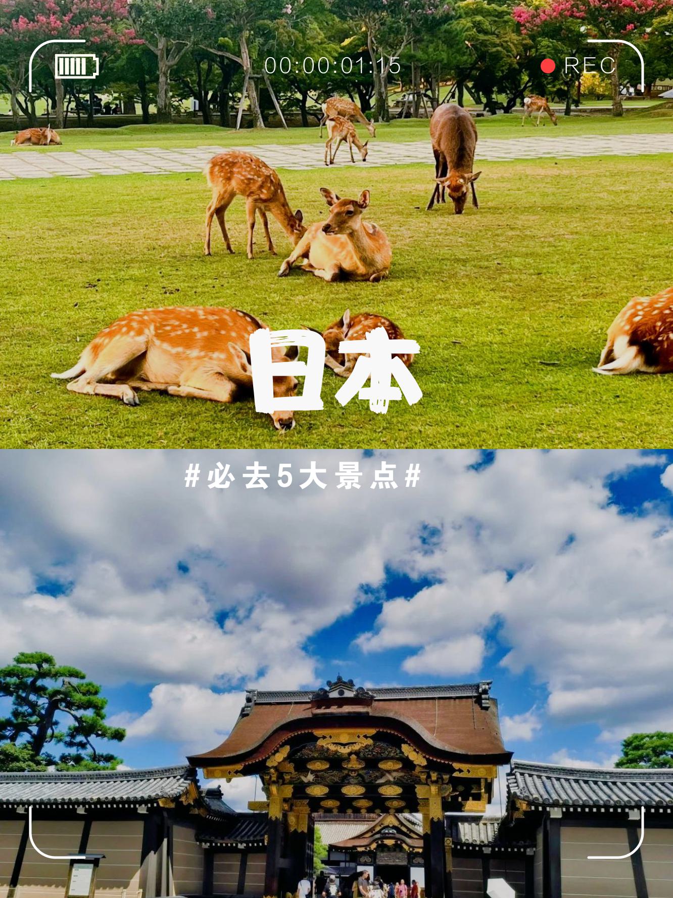 日本的城市有哪些城市日本的城市及其特色