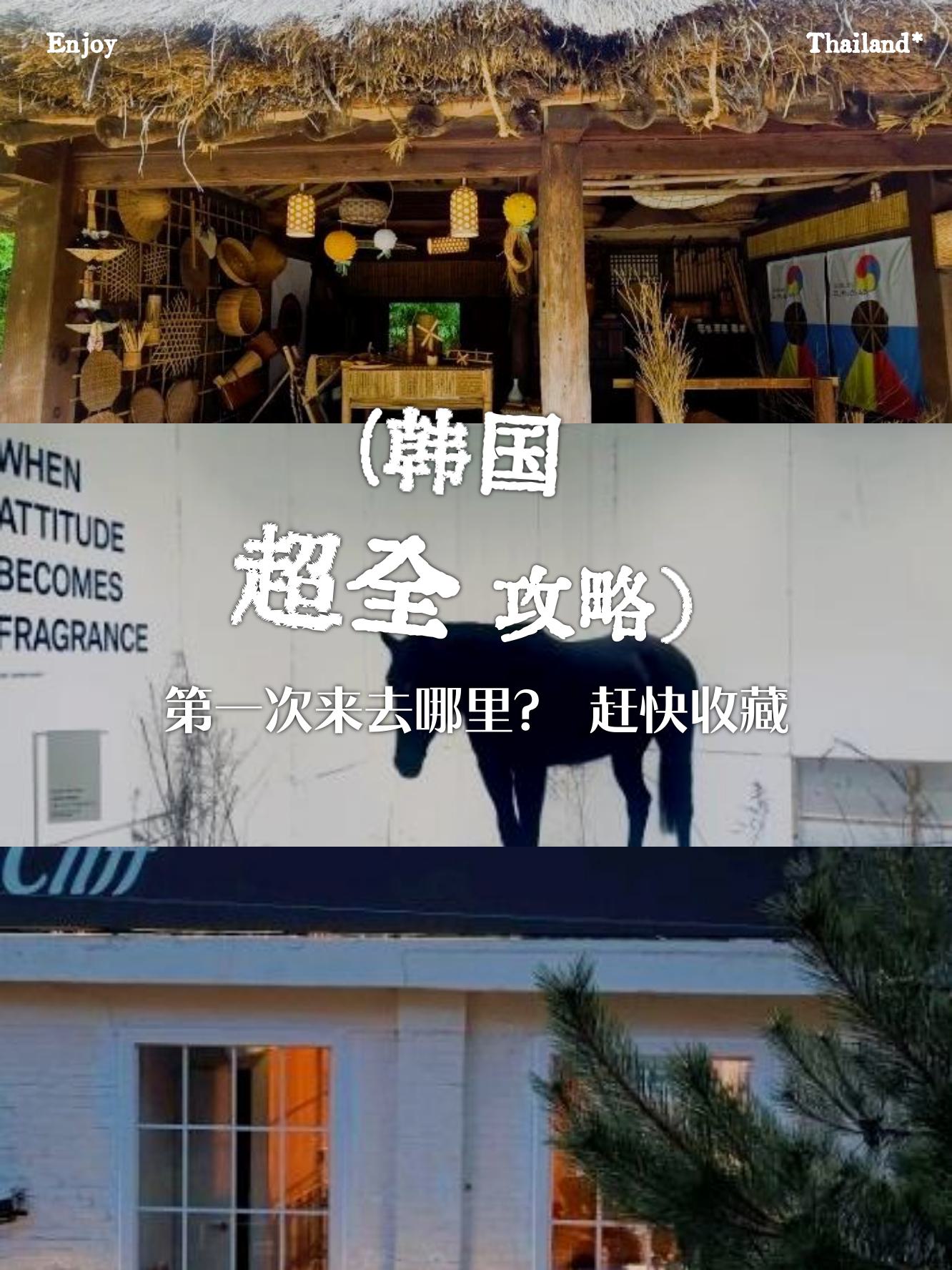 大逼片大逼片，探索其独特魅力