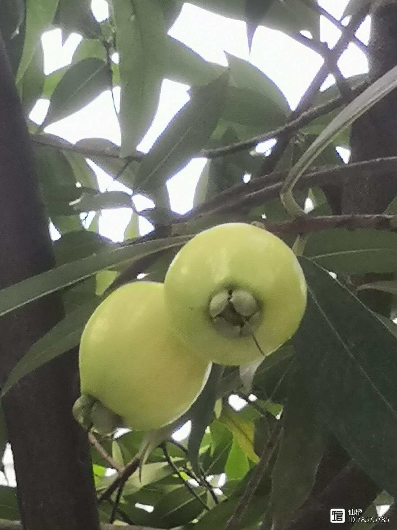 小区电工老周刘芳最强王者故事