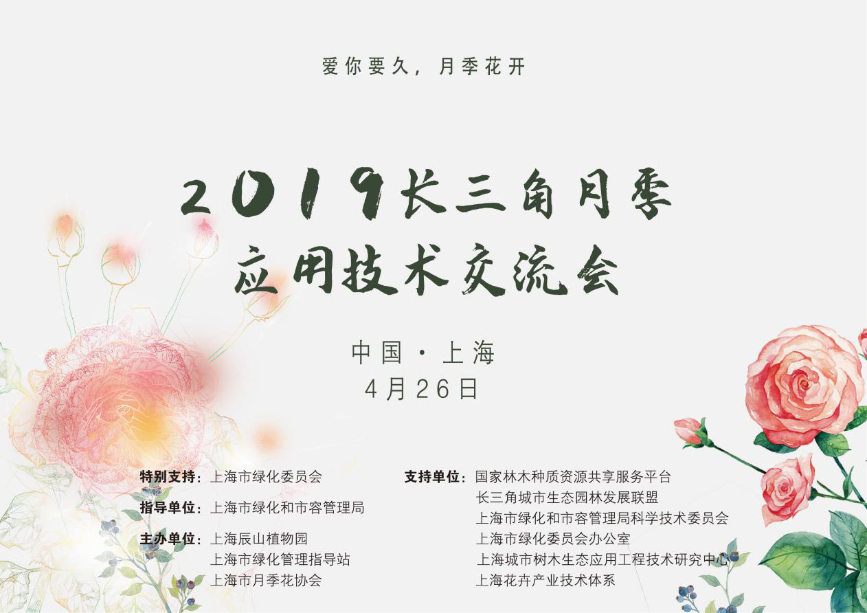2019今日特马结果回顾