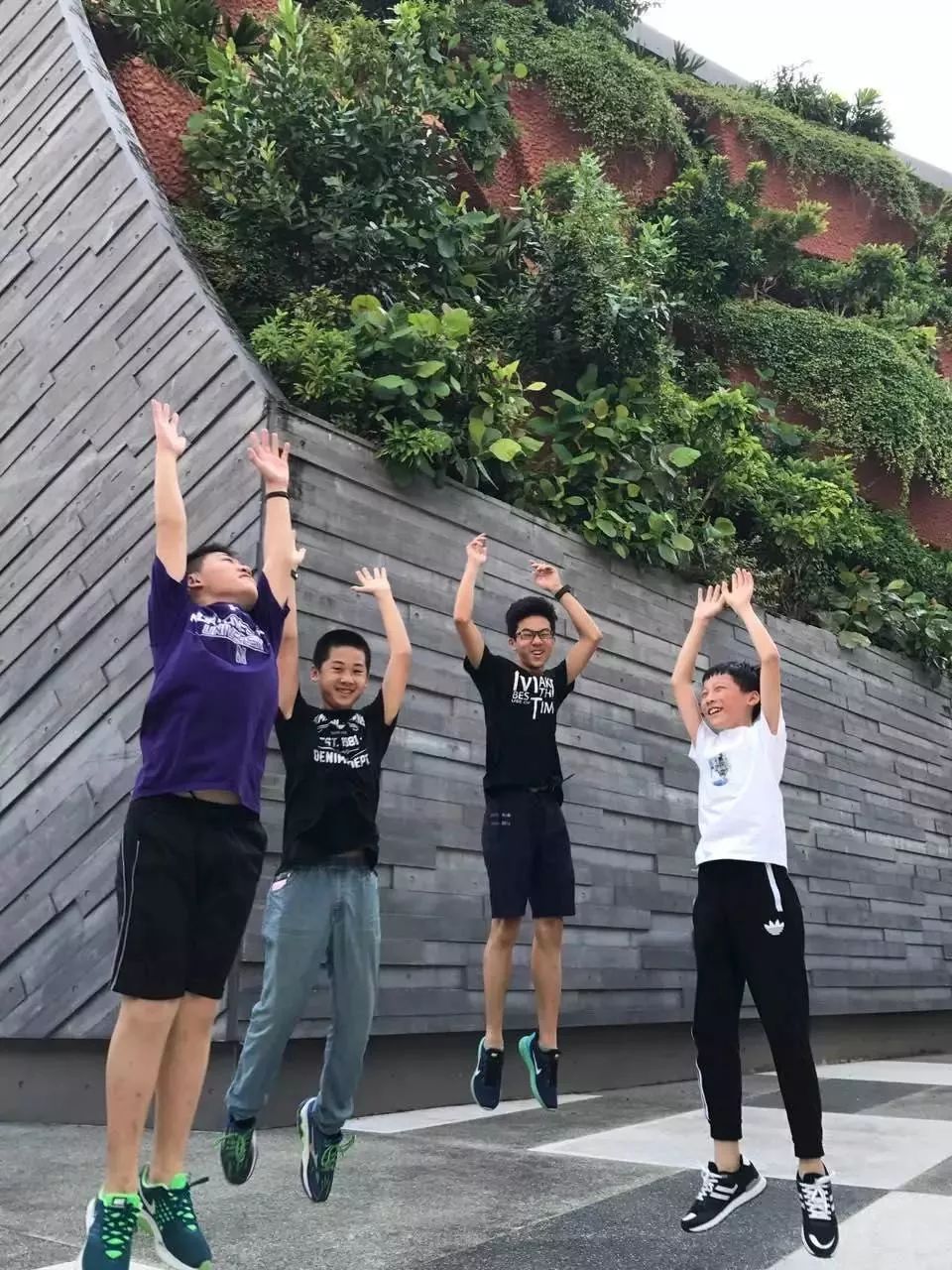 ADC亚洲年龄确认，探索亚洲地区的年龄与成长
