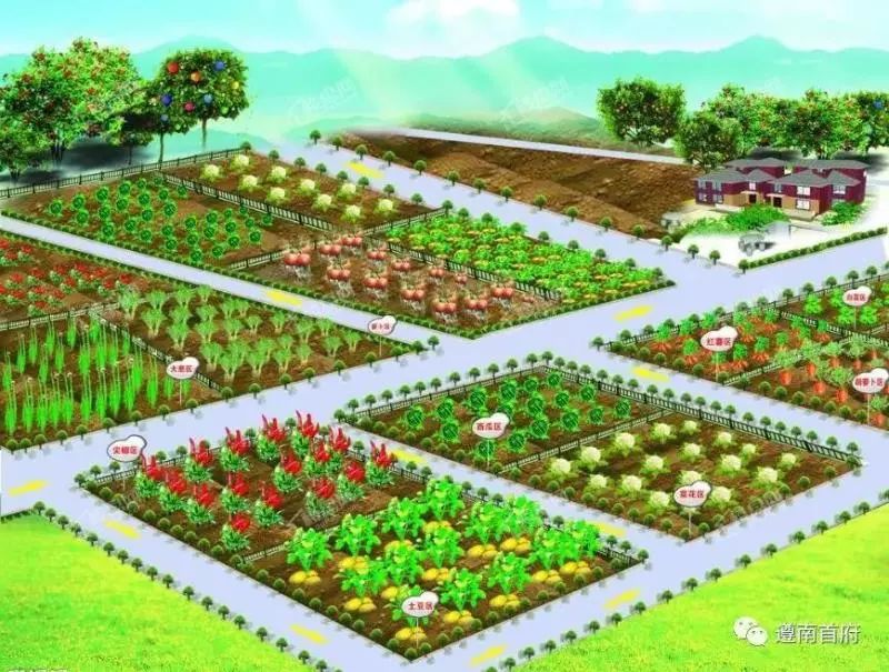 开心农场23452144开心农场，快乐与收获的乐园-第2张图片