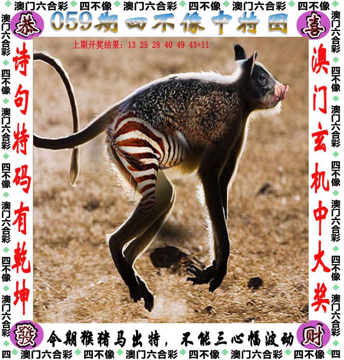 2022澳门今晚开奖结果记录-第2张图片