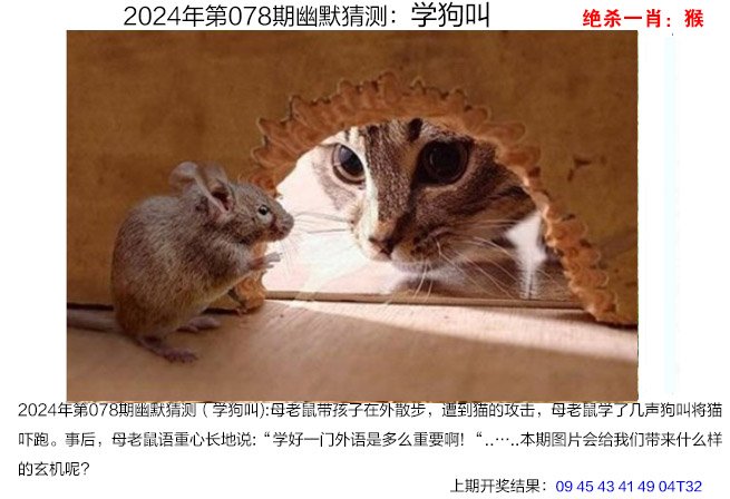 142期澳门网新澳门2024年宫家婆资料大全
