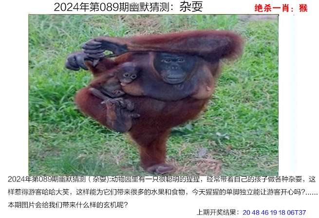 澳门最准一肖一码100%澳门澳门最准一肖一码，预测澳门彩票的神秘力量-第2张图片
