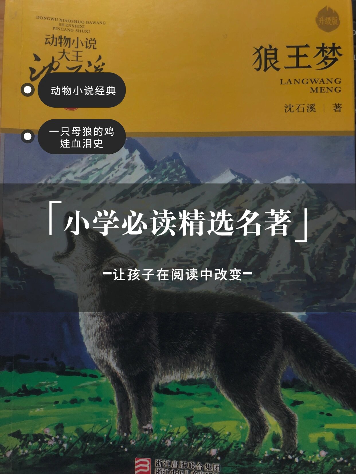 狼王梦全文阅读