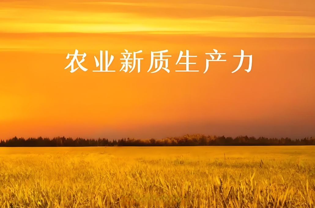 地豆网地豆网，引领智慧农业的新篇章