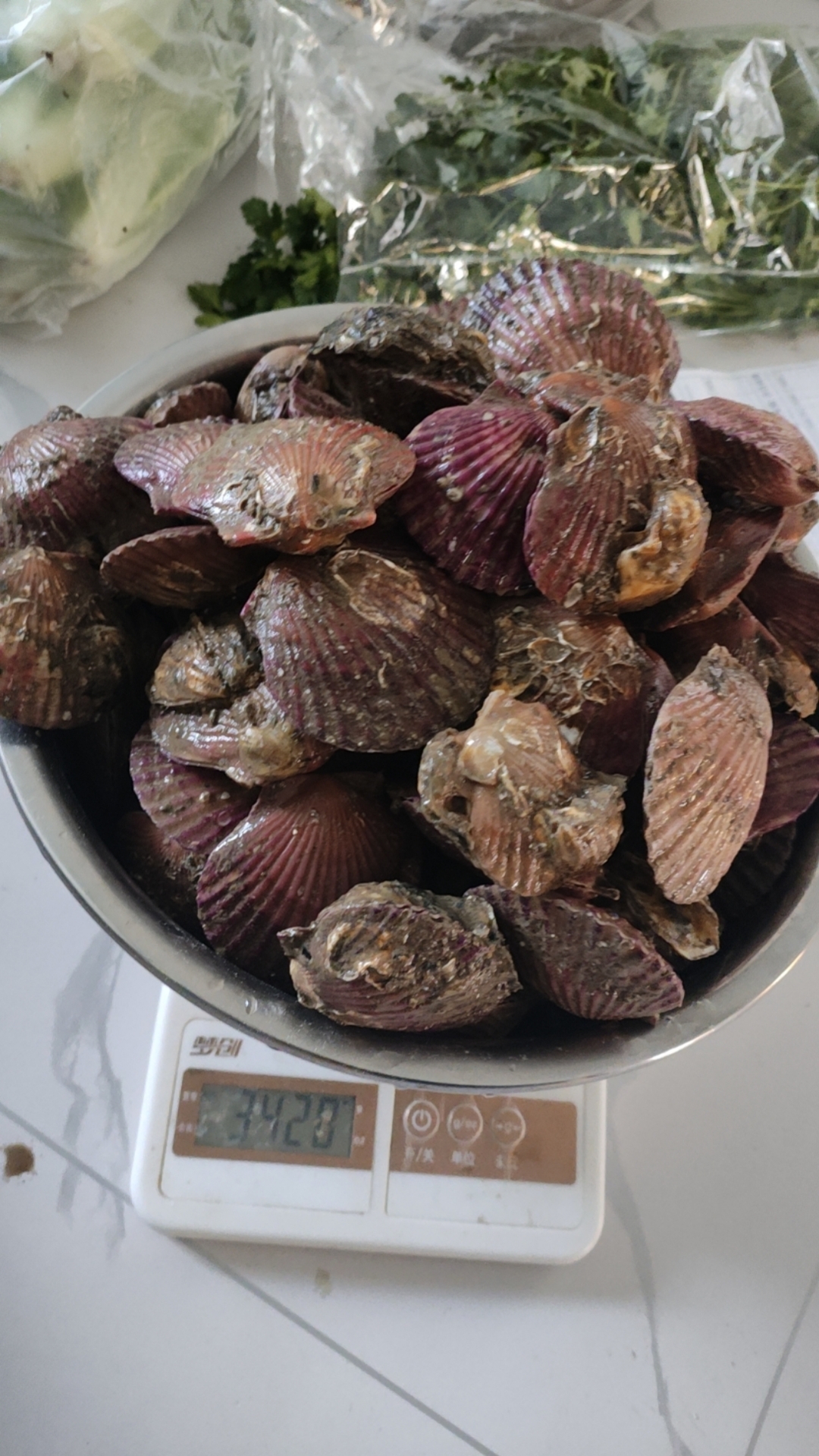 腿再打开一点就能吃到扇贝了的图腿再打开一点，就能吃到扇贝的美妙体验