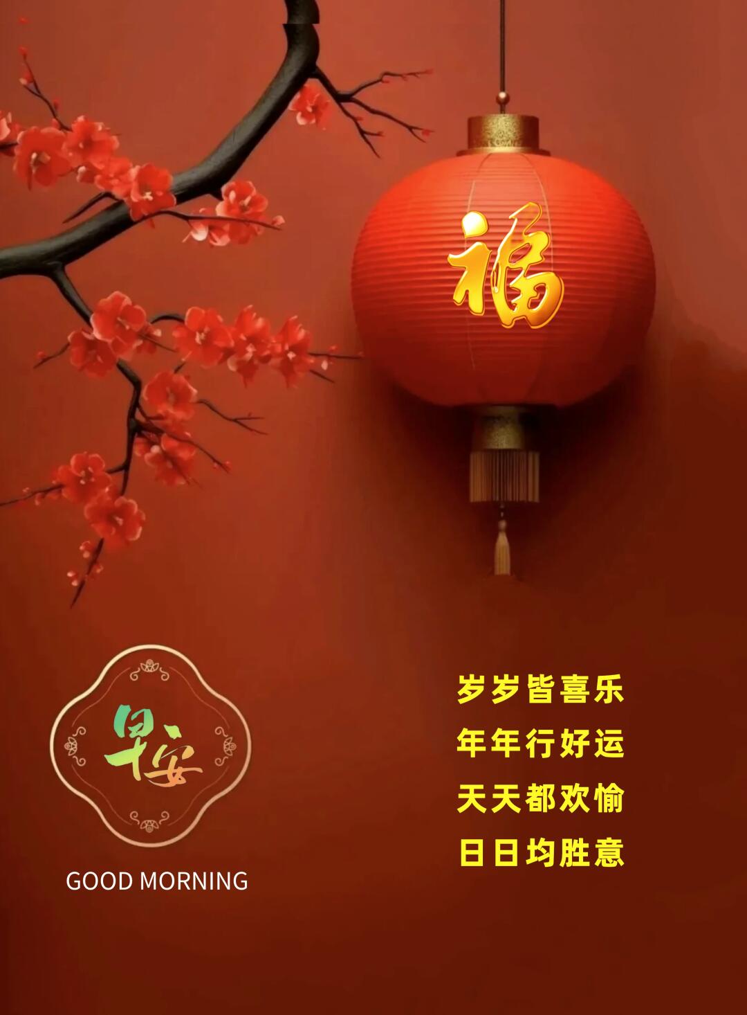 天天躁日日躁狠狠很躁老太太天天躁日日躁，很躁的生活节奏-第2张图片